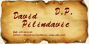 David Pilindavić vizit kartica